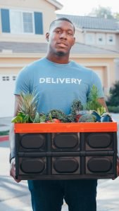 grocery delivery services